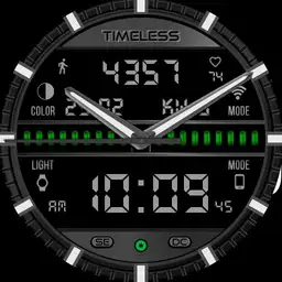 Timeless Digilog 2019