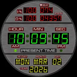 Back to the Future Time Circuits
