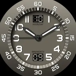 Brute BINOMIAL Hybrid Military Field Watch