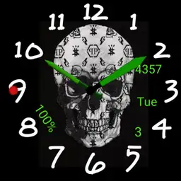 skullyd2