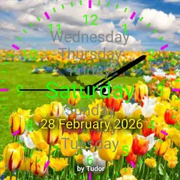 spring byTudor