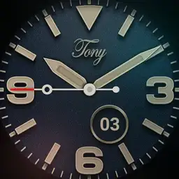 Fashion dial
