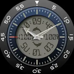 Brute DOLPHIN Navy Military Field Watch