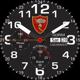 CARABINIERI NORM 3 LYAN