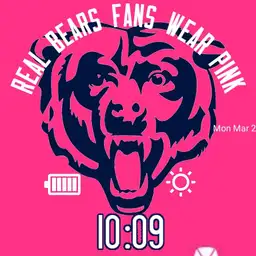 Real Bears Fans Wear Pink