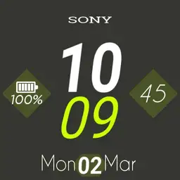 Sony Digital Copy