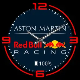P.AIR Redbull Racing