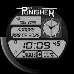 Punisher