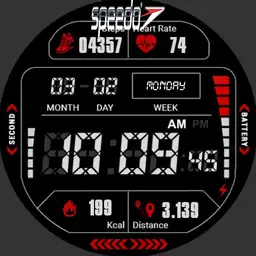 Speedo Chronometer