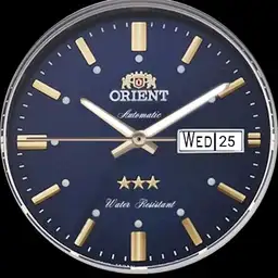 Orient tri star.