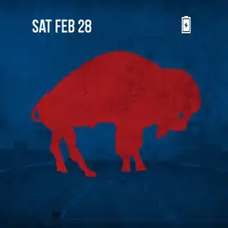 buffalo bills Copy