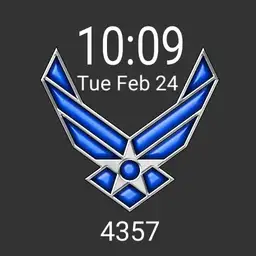 Air Force with step count