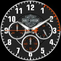 Harley Davidson