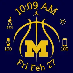 Michigan Basketball