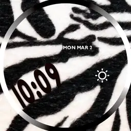 Animal print cebra
