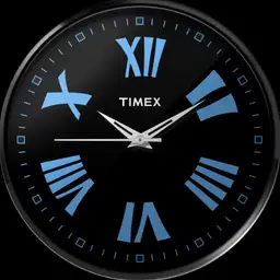 Timex TW002E118 by Marx