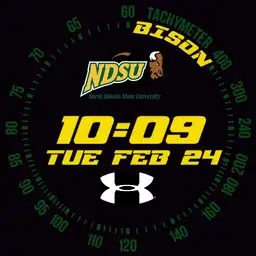 NDSU UA