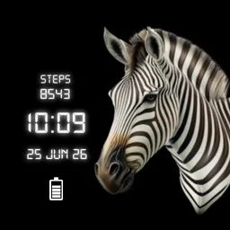 Zebra B&W