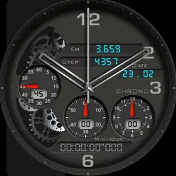 Gani 19