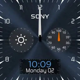 Diego Sony