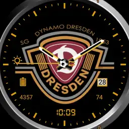 SG Dynamo Dresden Analog