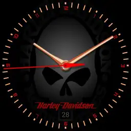 Harley Davidson