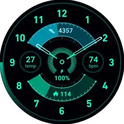WATCH GT4