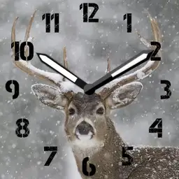 Winter Hunt