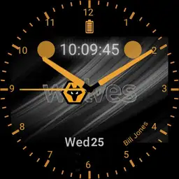 Wolverhampton Wanderers