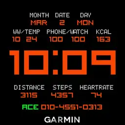 Garmin ST weather white Copy
