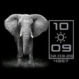 MEDVED.evg Animal 08