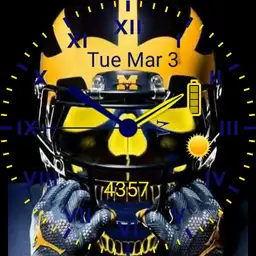 Michigan skull