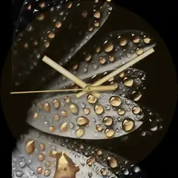 black and gold drops