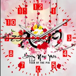 Ntv happy new year 2019