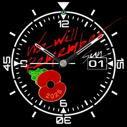 Poppy Appeal 2025