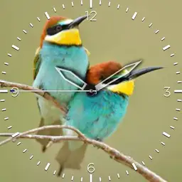 Nspz_73 Bird theme