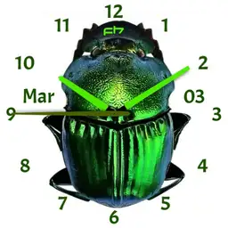 Folded Scarab