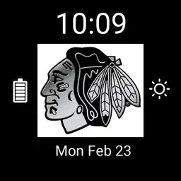 chicago blackhawks