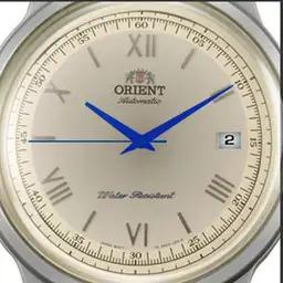 Orient Bambino