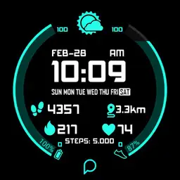 SPORT v2 ACTIVE Watch Face