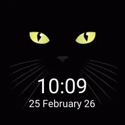 black cat