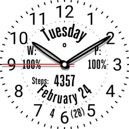 Analog Work Watch