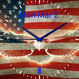 USA flame flag
