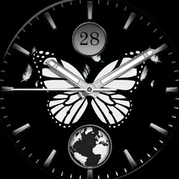 B n W Butterfly