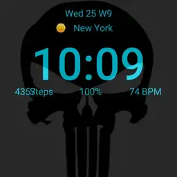 Punisher Digital