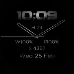 TL Watch 2 Grey Copy