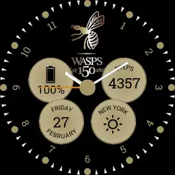 Wasps Rugby 150