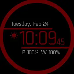 The Division Game Smartwatch Themeable