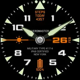 Aeromaster Pilot with Dimmed