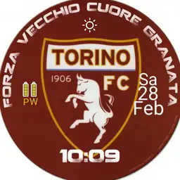 Torino fc 2.1